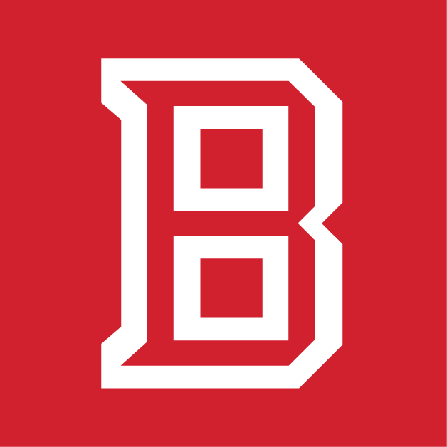 Bradley Braves 2012-Pres Secondary Logo t shirts iron on transfers v4